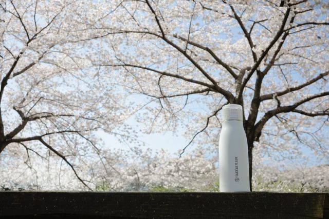 Japan’s Spring Arrival 

今日は気温が上がり、桜も一気に開花しそうですね。

ほんの数週間で散ってしまうこの素敵な景色を楽しみましょう。

保温保冷対応のこのTRAVELERなら
その日の気温や気分に合わせて
選べるドリンクの幅が広がります。

お花見先でのゴミを減らす工夫も心がけたいですね。

マイボトルでエコで楽しいお花見を。
ゴミは必ず持ち帰りましょう。

容量：500ml
重量：約350g
商品サイズ：（ハンドルアップ時）
幅74mm×奥行83mm×高さ263mm
カラー：アクティブホワイト・オニキス・クロームブラック
価格：3,520円(税込)

※写真は昨年の撮影素材を使用しています。
　今年の開花も楽しみですね😊

ご購入はプロフィールのリンクツリーより各オンラインショップで
🌸LINEのお友だち登録も大募集中です🌸
————————————
プロフィールはこちらから👉@takeya_official
————————————
#takeya #takeyaflask #water #bottle #タケヤ #タケヤフラスク  #真空断熱 #ステンレスボトル #水筒  #マイボトル  #水分補給  #タンブラー  #保冷保温 #ホット対応  #コーヒータンブラー #花見 #桜前線 #桜
————————————
